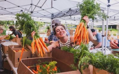 Good Food Box Newsletter September 17, 2025