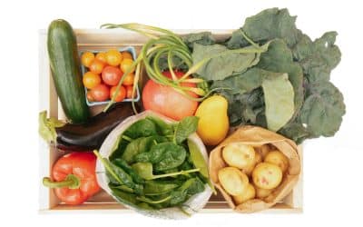July 16, 2025 – Good Food Box Newsletter