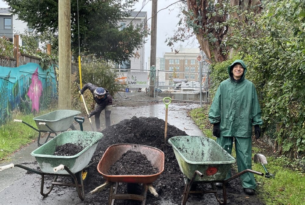 Gardens are sleeping, construction is happening!