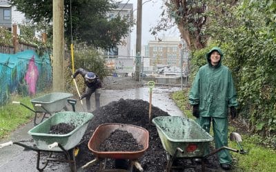 Gardens are sleeping, construction is happening!